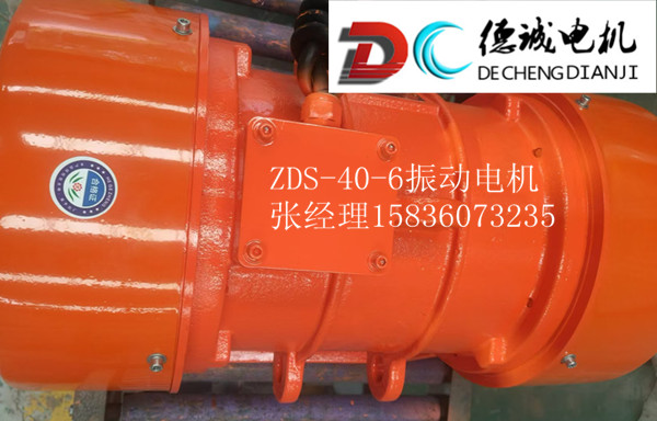 ZDS-40-6振動電機.jpg ZDS-40-6振動電機.jpg